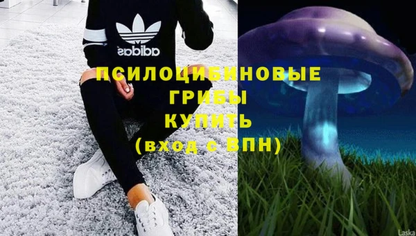 а пвп мука Балабаново