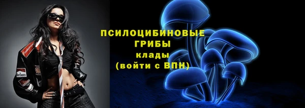 винт Балахна