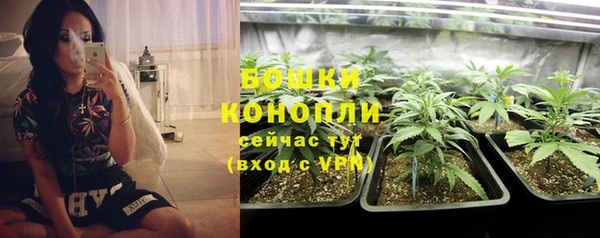 ГАЛЛЮЦИНОГЕННЫЕ ГРИБЫ Баксан