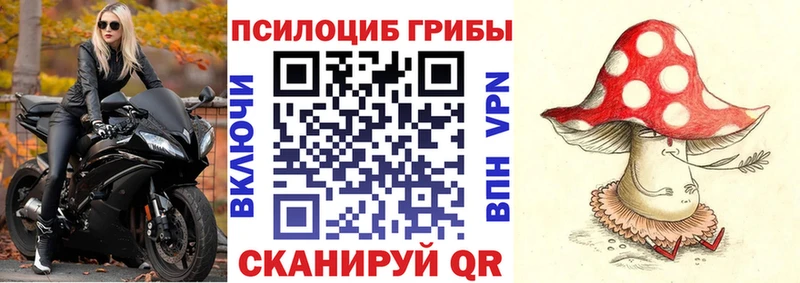 Галлюциногенные грибы Psilocybe  что такое   Озёры 